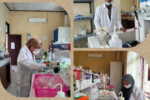 KEGIATAN MBKM PROGRAM STUDI AGROTEKNOLOGI RISET/PENELITIAN DI DINAS LINGKUNGAN HIDUP ROKAN HULU